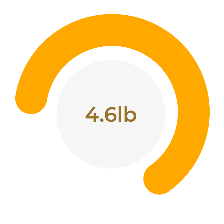 Group 427319636.png